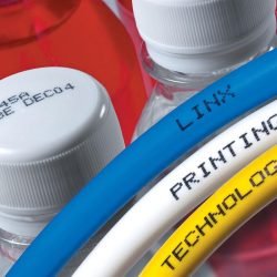 WhatsApp Image 2025-04-03 at 4.03.53 PM